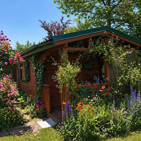 Hébergement de vacances Kwiatowa Zatoka